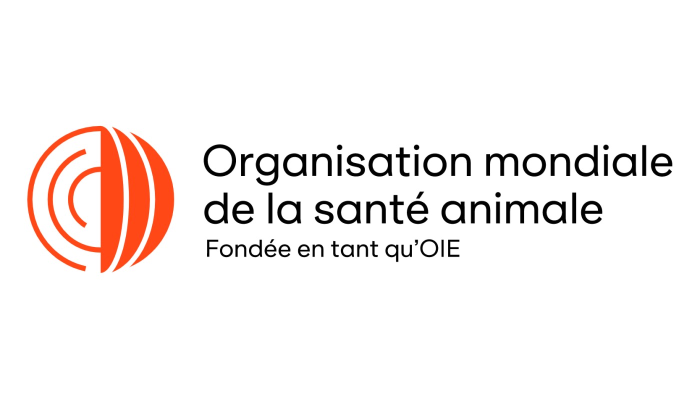 Partenaire Keneya